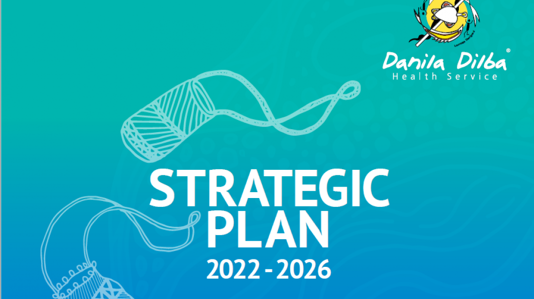 Danila Dilba Strategic Plan 2022-2026 | Danila Dilba